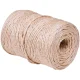 Fio Sisal Natural F500 160M 1Kg Collins