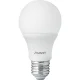 Lâmpada de Led Branca E27 6500K 9W Bivolt Avant