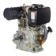 Motor a Diesel Tde140Xp com 13.5Hp da Toyama